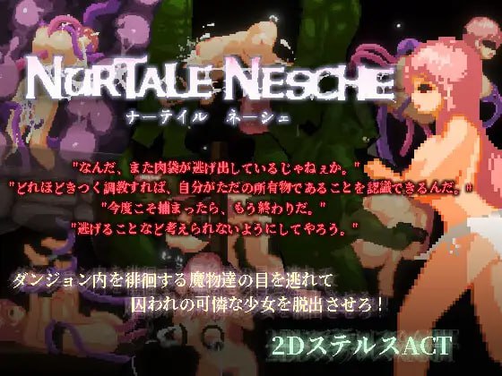 [ACT官中PC像素动态]娜蒂尔·涅舍 Nurtale Nesche  ナーテイル・ネーシェ v1.0.6.3   [FM/BD 400M]
