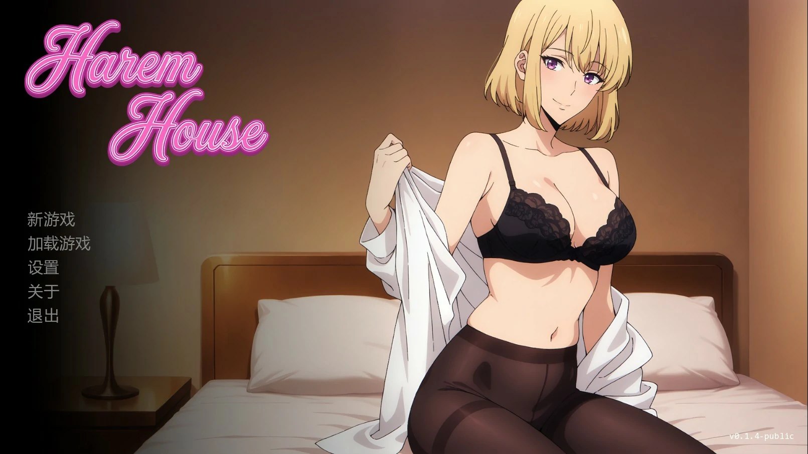 [SLG汉化PC安卓动态步兵]后宫之家 Harem House[Ver0.1.7] [FM/BD 1.3G]
