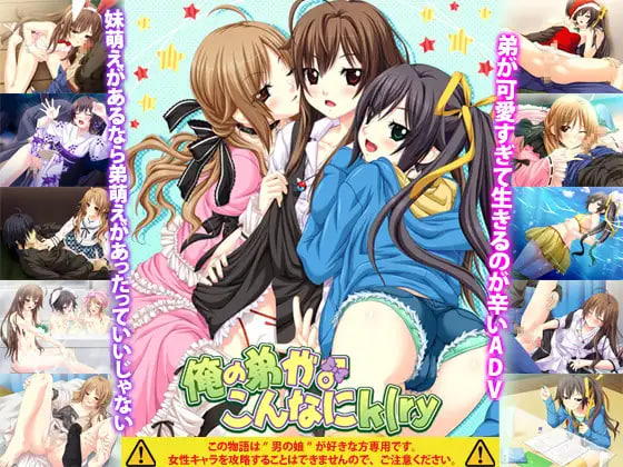 [ADV汉化PC全CG存档]我的弟弟哪有这么可（略  俺の弟がこんなにk(ry [FM/BD 1.6G]